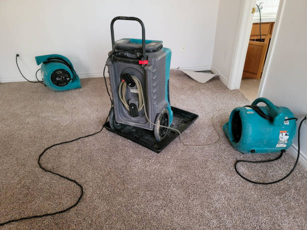 Best Fire Damage Restoration  in Downs, IL