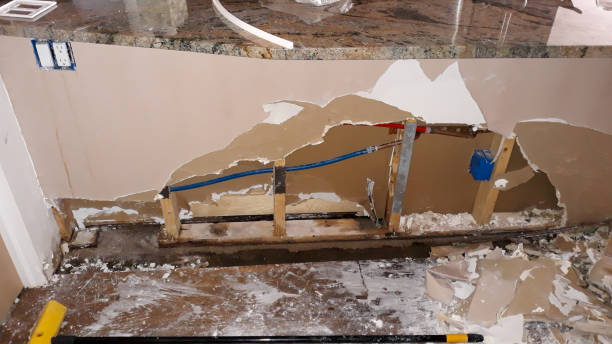 Best Water damage cleanup near me  in Downs, IL