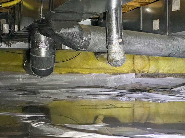 Professional Water damage restoration in Downs, IL